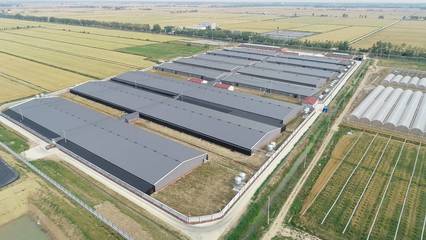 江蘇農業農村重大項目投資規模創新高，近千項目總投資超2200億元