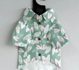 寵物衣物與窩用品的全新選擇